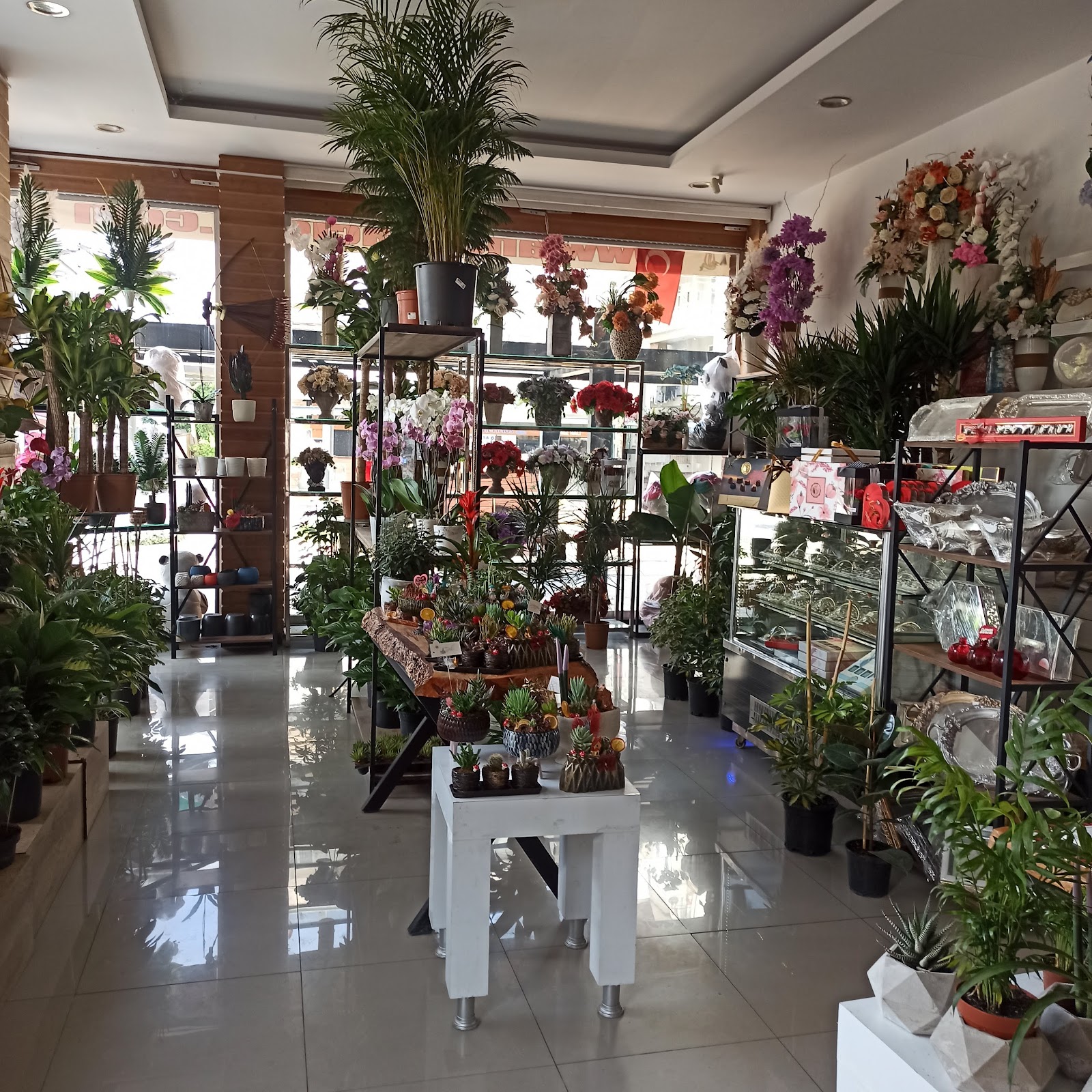 Antalya Floriculture