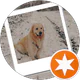 Ozlem Ozden profil fotoğrafı