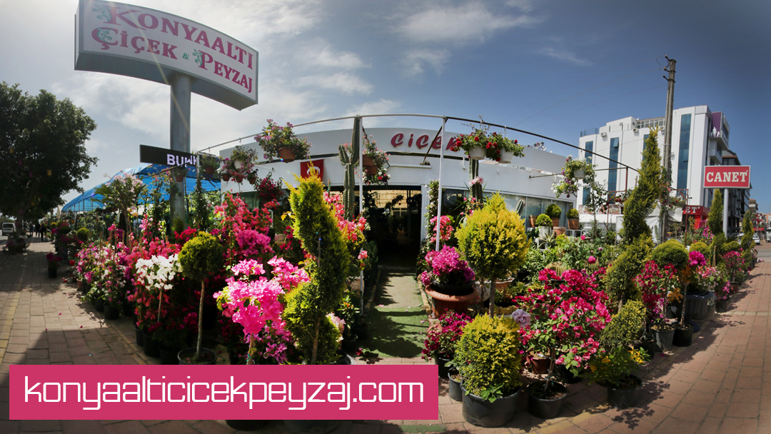 Konyaaltı Çiçek & Peyzaj