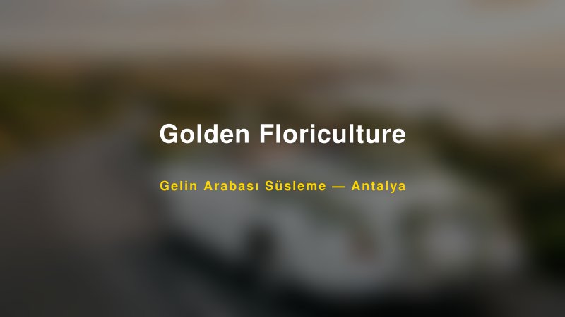 Golden Floriculture ile Trend Gelin Arabası Yazıları ve Konseptleri