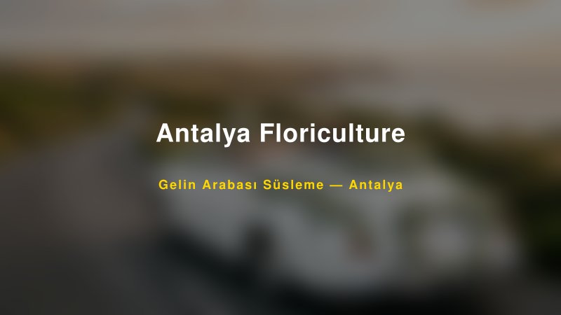Antalya Floriculture ile Trend Gelin Arabası Yazıları ve Konseptleri