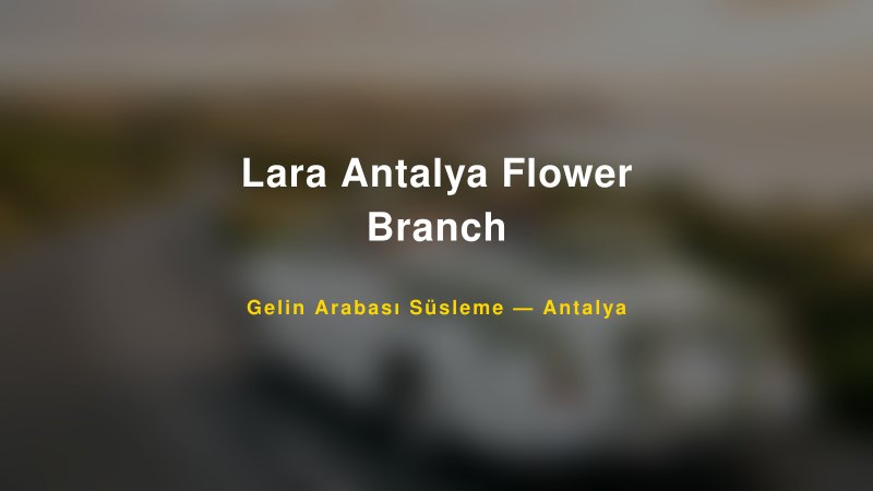 Lara Antalya Flower Branch ile Trend Gelin Arabası Yazıları ve Konseptleri